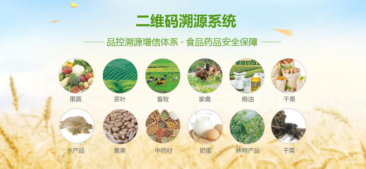 二维码溯源系统开发