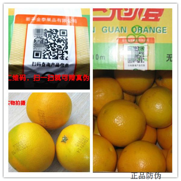 云南褚橙防伪首用二维码防伪护航