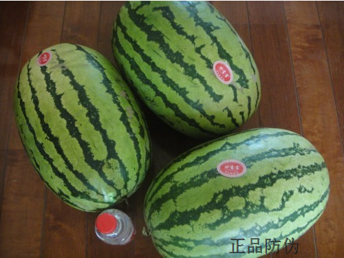 一物一码 一物一码