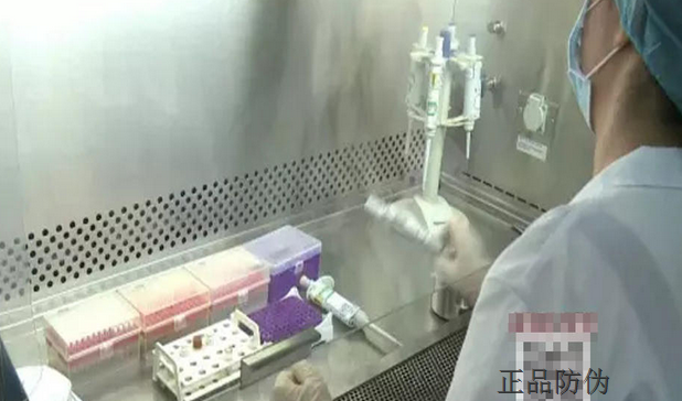 牛肉检验 牛肉检验
