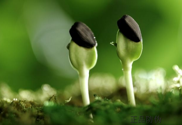 种子品质追踪系统开发_正品防伪 种子品质追踪系统开发_正品防伪