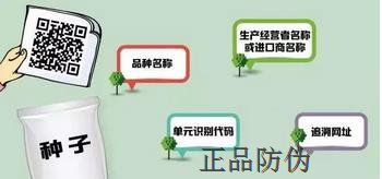 种子标签二维码制作应注意哪些细节 种子标签二维码制作应注意哪些细节