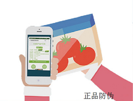个性化防伪系统_ 个性化防伪系统_