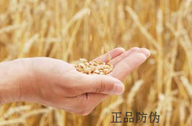 二维码防伪标签 二维码防伪标签