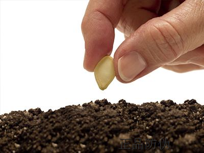 种子防伪标签防窜货是如何产生的? 种子防伪标签防窜货是如何产生的?