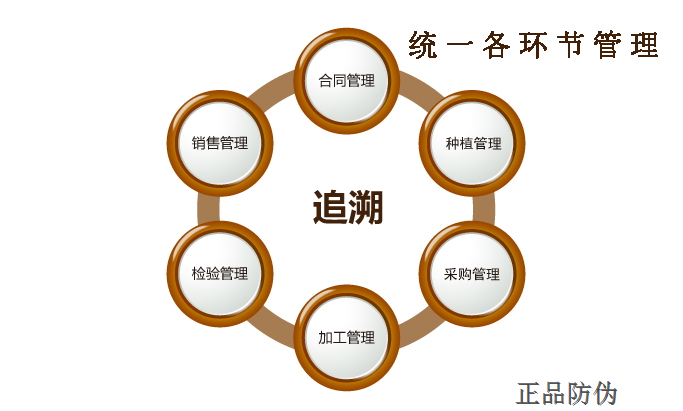 中药材防伪追溯系统 建立信息数据库