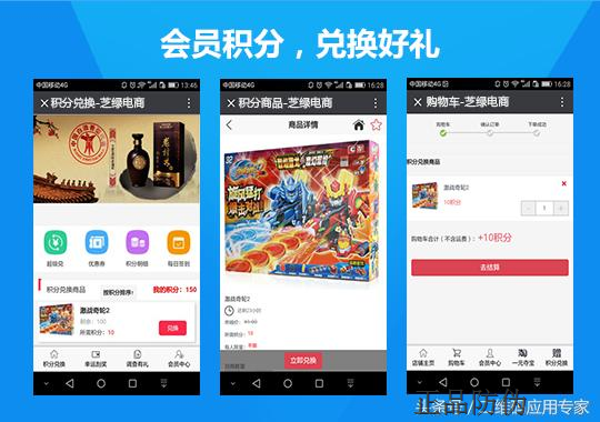 会员积分营销系统开发