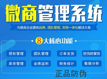 微商管理系统开发 提升运营效率