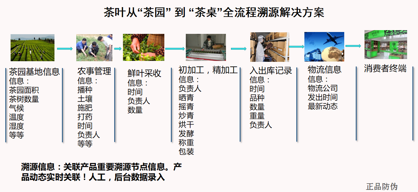 雨林古茶坊扫码溯源系统解决方案