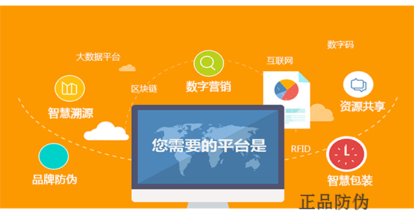 系统开发