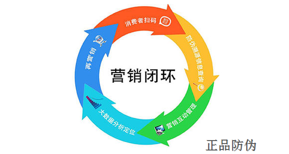 红包营销系统